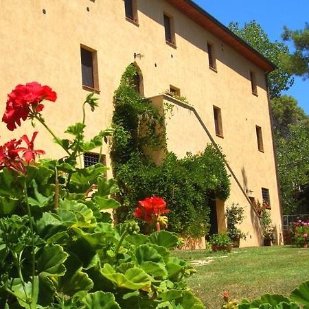 Agriturismo Lupo Vecchio 그레세토 외부 사진
