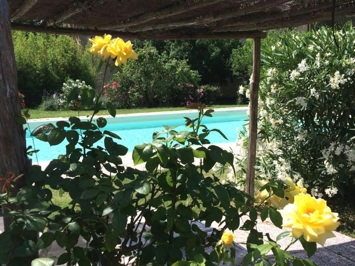 Agriturismo Lupo Vecchio 그레세토 외부 사진