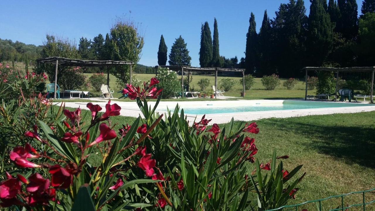 Agriturismo Lupo Vecchio 그레세토 외부 사진