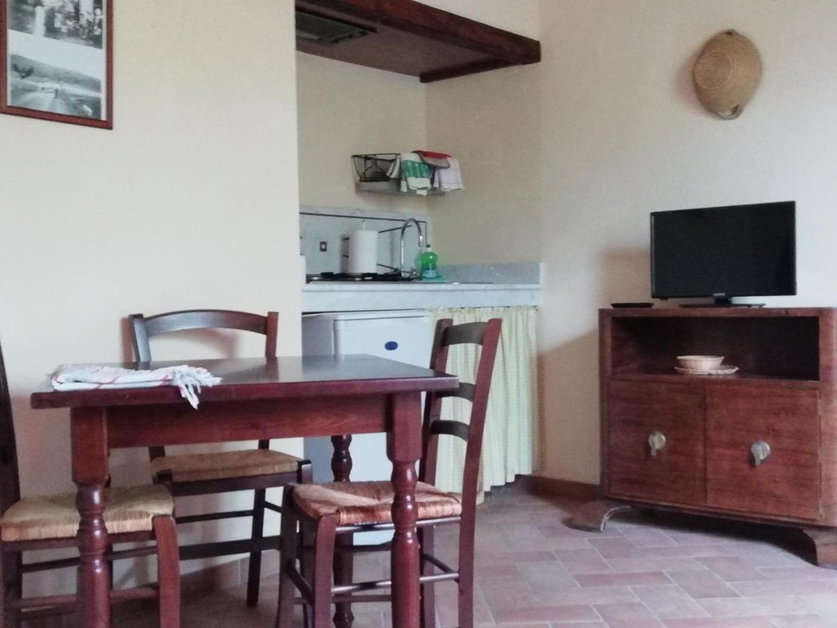 Agriturismo Lupo Vecchio 그레세토 외부 사진