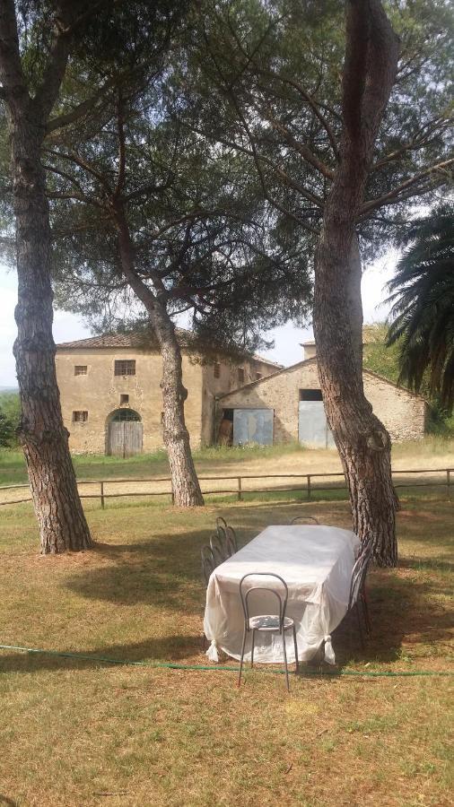 Agriturismo Lupo Vecchio 그레세토 외부 사진