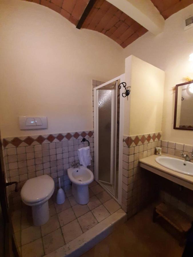 Agriturismo Lupo Vecchio 그레세토 외부 사진